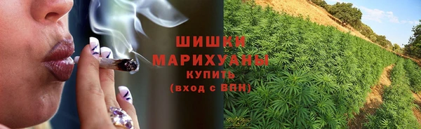 каннабис Аркадак
